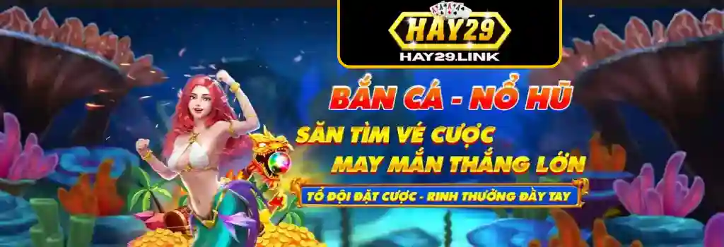 Khuyến mãi HAY29